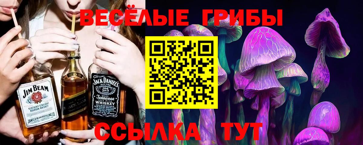Галлюциногенные грибы мухоморы Арсеньев